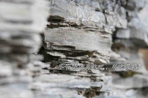 MILAN SPORTS中国站-美国队在国际乒联混合团体世界杯中的整体表现分析，美国乒乓球赛事