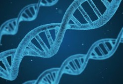 米兰体育在线登录-国足快攻下球员站位结构演变，国足最快进球