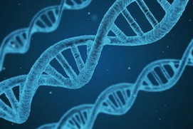 米兰体育在线登录-国足快攻下球员站位结构演变，国足最快进球