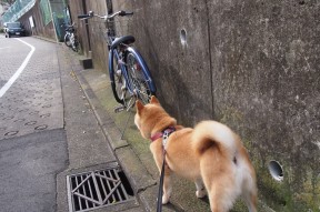 milanAPP下载入口官网-冲刺阶段数据变化趋势解读