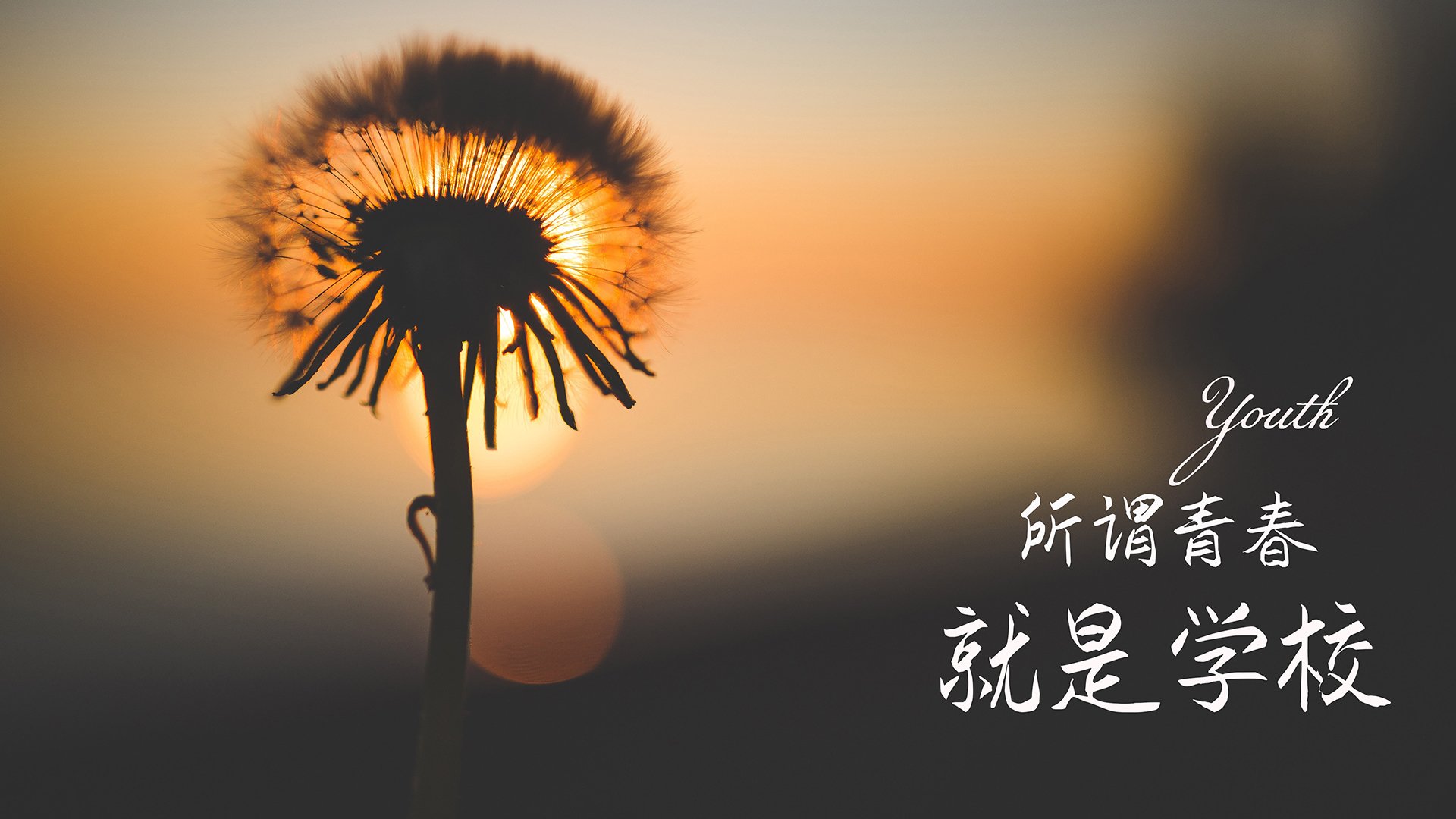 中超联赛中国队晋级 球迷热情高涨,中超联赛新政