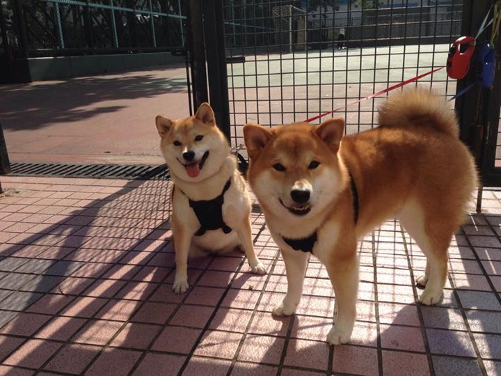 国足在世界杯中爆冷 战术执行成争议点,国足冲击2022年世界杯