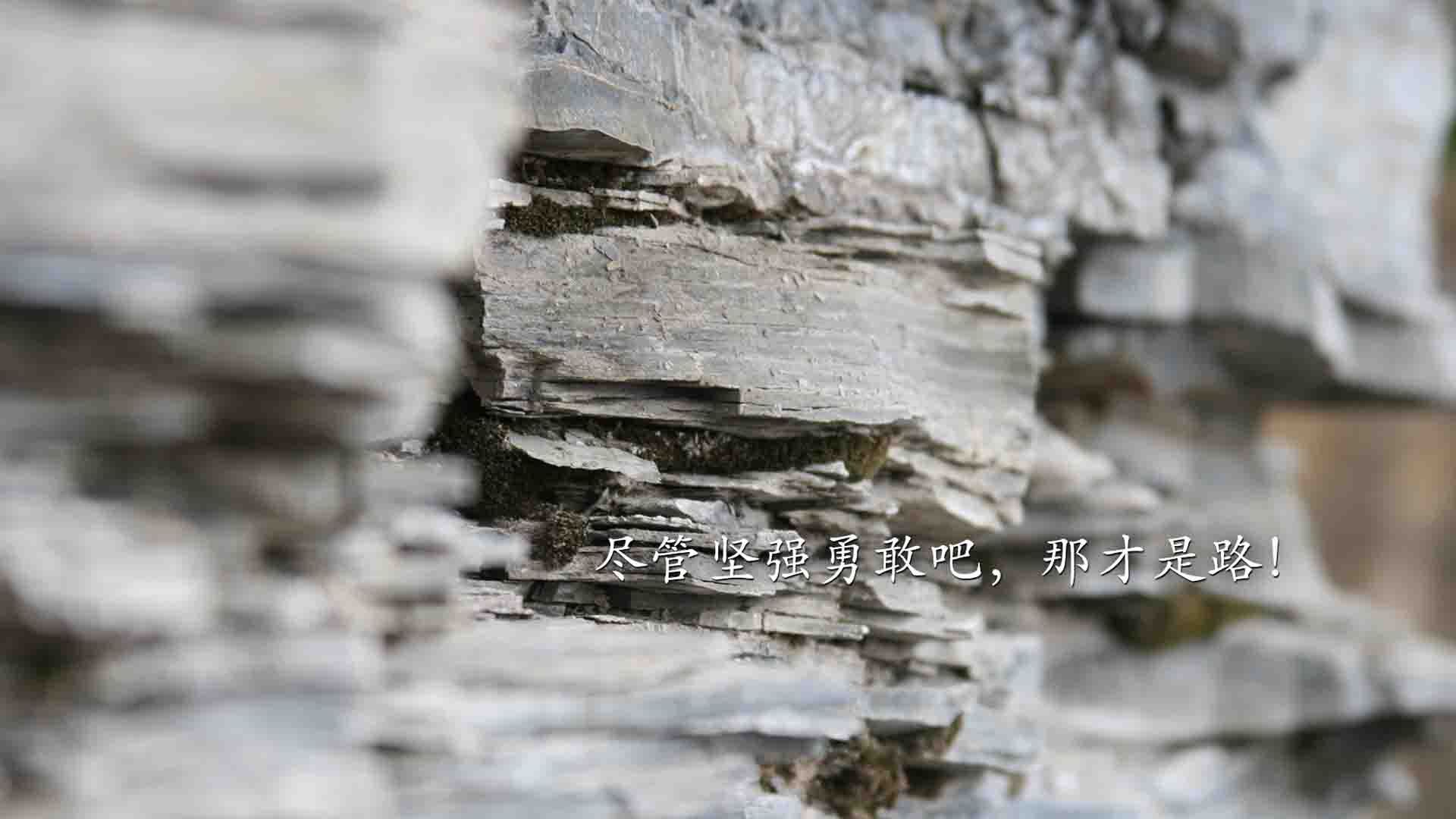 美国队在国际乒联混合团体世界杯中的整体表现分析,美国乒乓球赛事