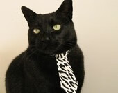 选手伤病困扰影响比赛状态团队调整战术应对