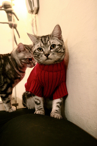 欧洲杯预选赛激战正酣，黑马球队横空出世，欧洲杯预选赛情况