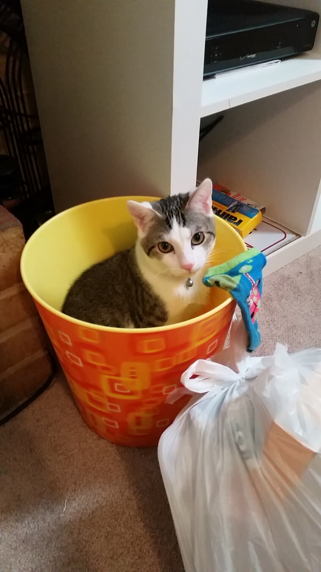 热火教练强调快节奏篮球仍需防守作基础，热火篮球训练营